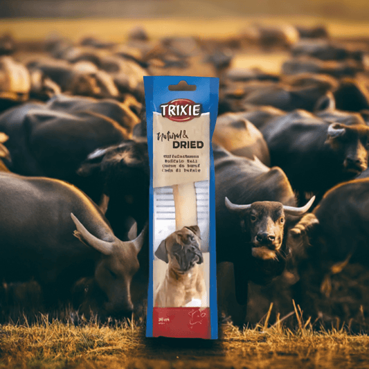 🐾 Trixie Bøffelhale – Naturlig tyggesnack til hunde og hvalpe (30 cm) 🦴