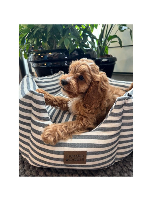 Nordic Paws Hundeseng "Bailey" 🐶 Strømlinet Maritimt Komfort i Elegant Design