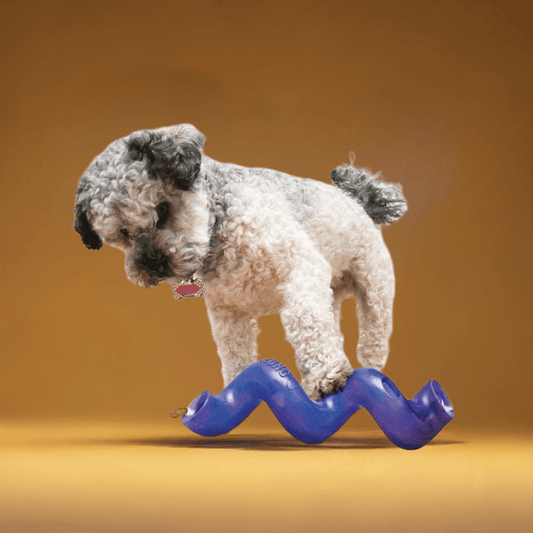 KONG Spiral Stick aktivitetslegetøj i rød spiralform, perfekt til hundens snackjagt og aktivering