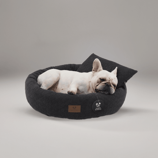 Nordic Paws Olli Cozy hundeseng i mørkegrå med aftagelig inderpude og anti-skrid bund, oval form
