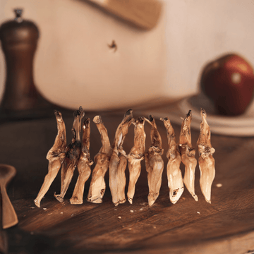 Kaninører uden pels fra Snack’It – naturlig, sund snack til hunde med allergi