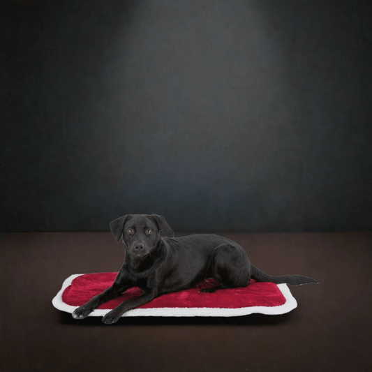 Trixie Levio rød og hvid juleligge måtte til hund – blød og varm