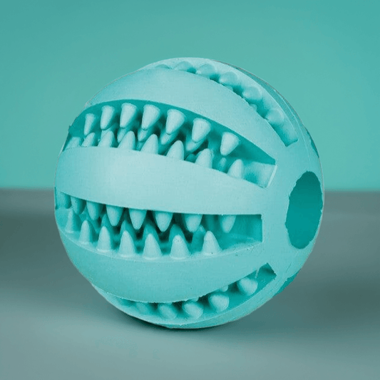 Trixie Mintfresh Bold i naturgummi med mintsmag og hul til tyggeben, tandrensende hundelegetøj