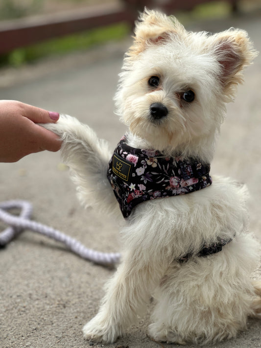 Luxury Paws Harness 