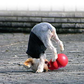 KONG legetøj, Original "Bounzer"