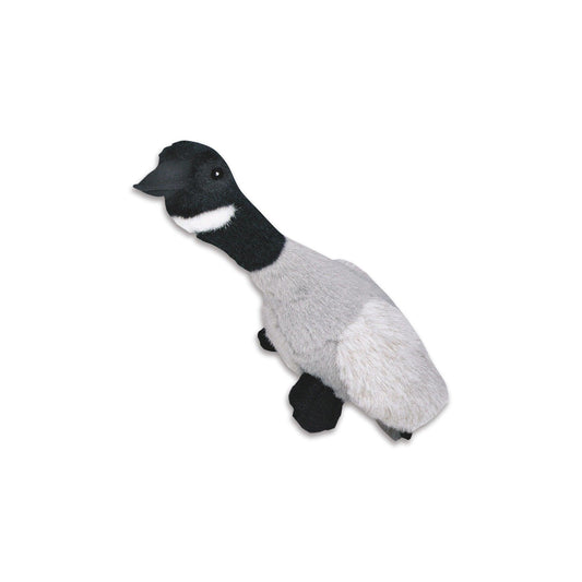 Kw teddy bear Migratory bird Goose