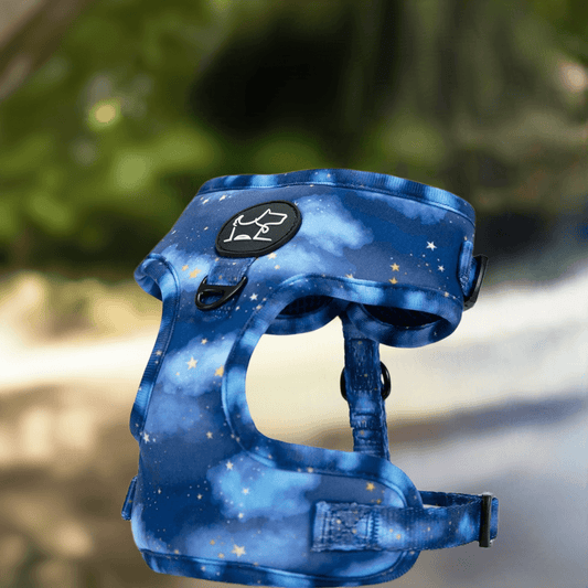 Justerbar Hundesele “Blue Heaven” – Komfortabel Kropssele til Hund fra Doggistyle by Luksuspoter