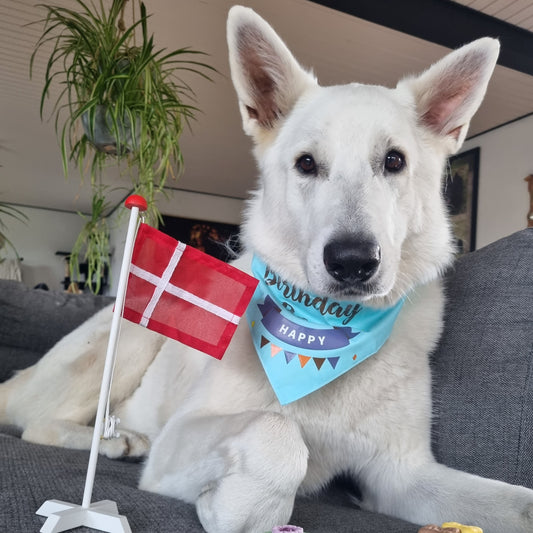 Luxury Paws Bandana 