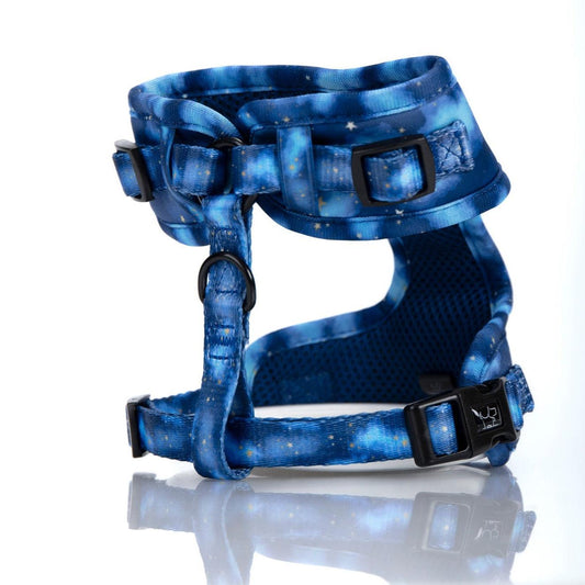 Doggistyle by Luksuspoter sele "Blue Heaven" - Vores nyeste Kropssele til hund - Luksuspoter.dk