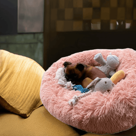 Beroligende Donut Hundeseng 