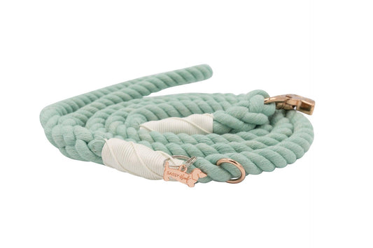 SassyWoof leash 