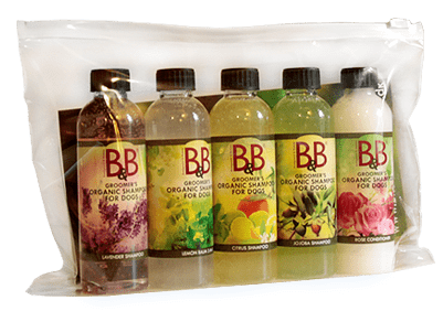 B&B minibag med 5 økologiske shampooer