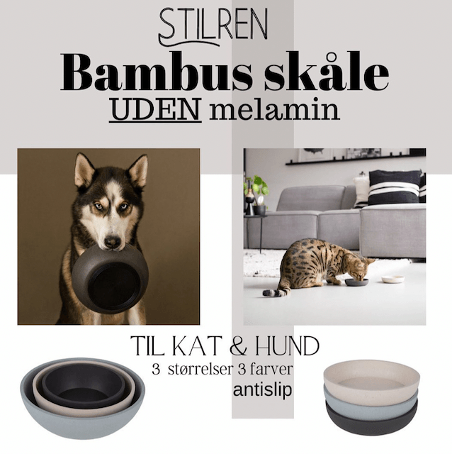 District 70, Hundeskål i Bambus - Luksuspoter.dk