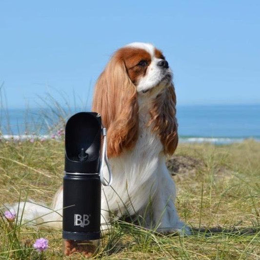B&B Luksus 3i1-Flaske 🐶💧 Vand & Godbidder på Farten