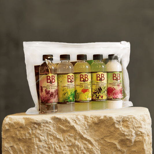 B&B Minibag 🧴🌿 – 5 økologiske hundeshampooer + conditioner