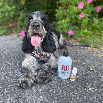 B&B Mixer Flaske 🧴🐾 500 ml – smart flaske til fortynding af hundeshampoo og balsam
