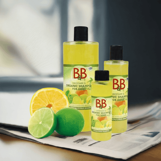 B&B Økologisk Hundeshampoo 🍊🐶 – Citrus & Naturlig Pleje