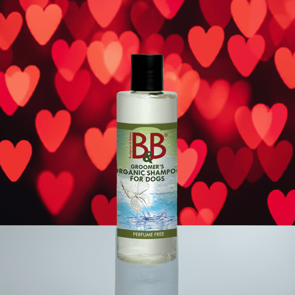 B&B Økologisk Hundeshampoo 🌿 Neutral duft, parfumefri og mild med Aloe Vera til hunde