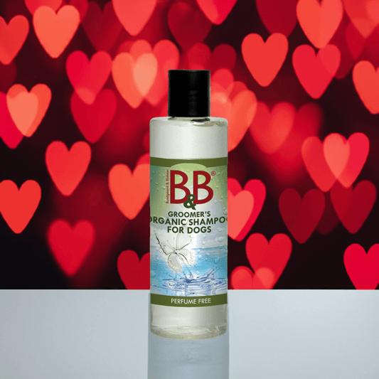 B&B Økologisk Hundeshampoo 🌿 Neutral & Parfumefri – Skånsom Pleje