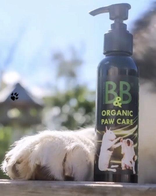 B&B Økologisk Potepleje – naturlig beskyttelse og pleje til hundepoter 🐾🌿 100 ml
