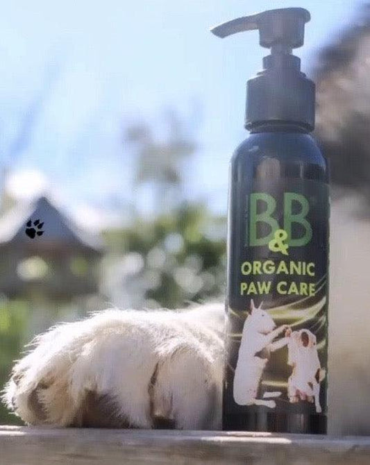 🐾 B&B Økologisk Potepleje – Bløde, sunde og stærke poter året rundt 🌸✨