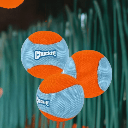 🐾 Chuck It Amphibious Ball – Flydende Bolde til Hund 🎾🌊