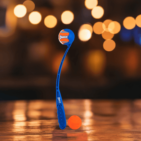 🐾🎁 Chuck It Launcher & Fetch Ball – Limited Edition 🐶💥