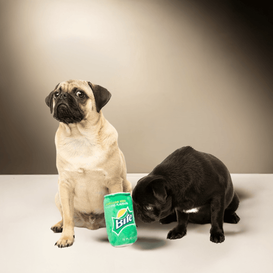 🥤 Fuzzyard hundebamse 