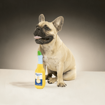 Fuzzyard hundebamse "Paw Ale" – blød plysøl med squeaker til små og mellemstore hunde