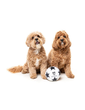 Fuzzyard bamse "Soccer Ball" - Luksuspoter.dk