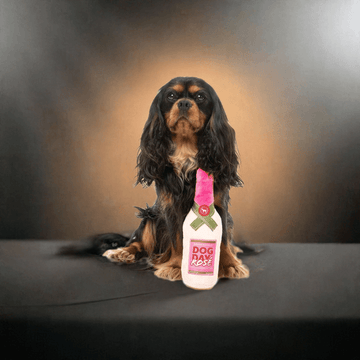 Fuzzyard bamse ✨ Dog Day Rosé – Leg og hygge i ét! ✨