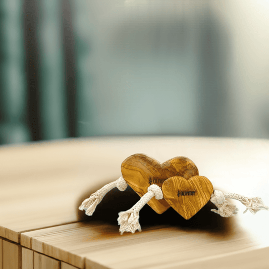 Olivi wooden toy 