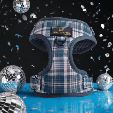 Luksuspoter Hundesele "The Big Boss"💪 – Komfort og Råt Design til Alle Hundestørrelser fra Luksuspoter