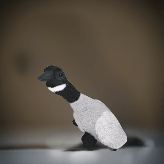 Kw teddy bear Migratory bird Goose