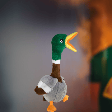 KONG Teddy Bear Shakers "Duck"