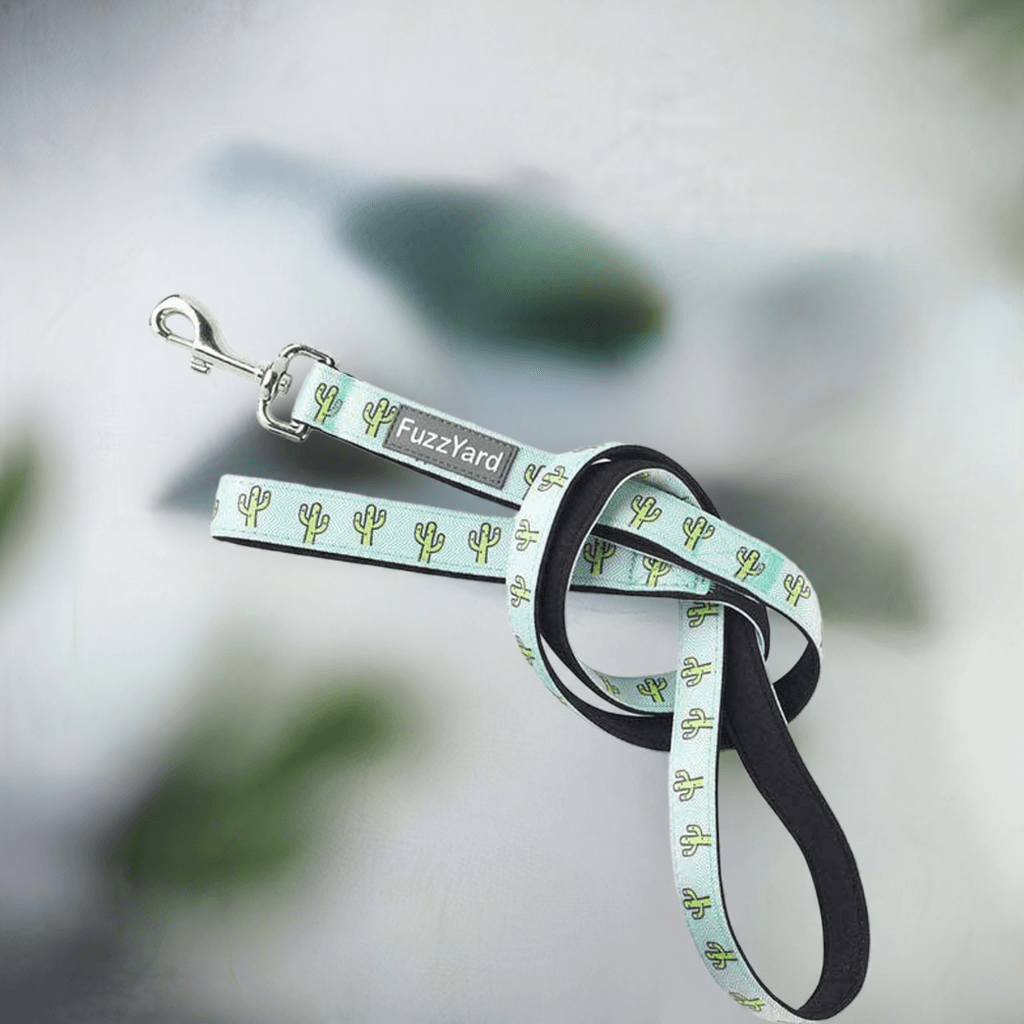 Fuzzyard leash "Tucson"