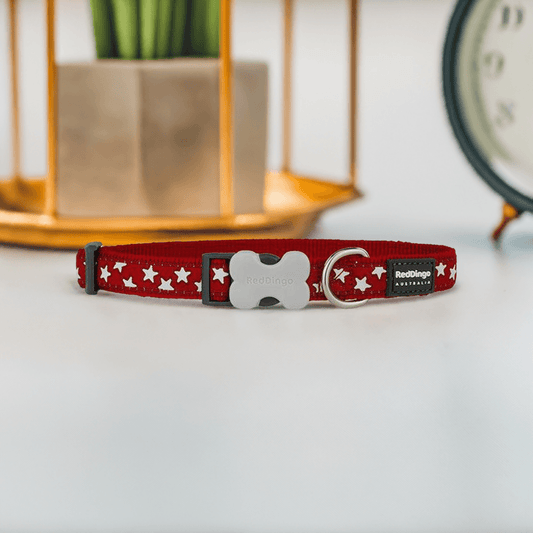 Red Dingo Hundehalsbånd – Blødt Nylon med Reflekser & Topkvalitet 🐕🌙