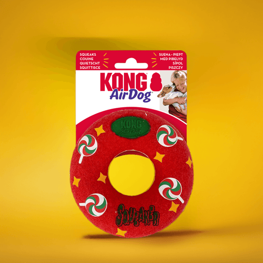 KONG Teddy Bear 