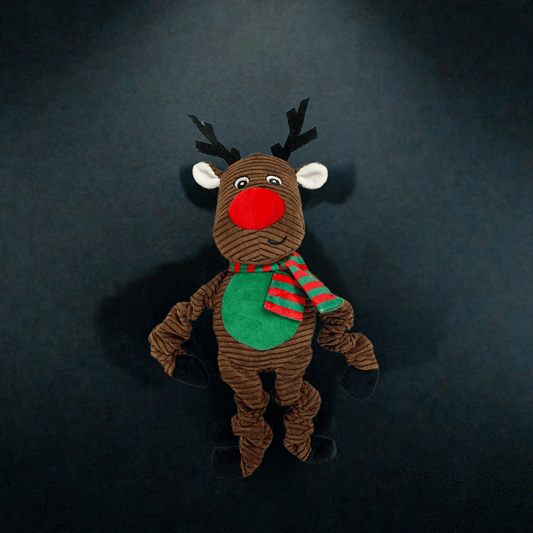 KW teddy bear 