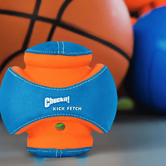 Chuck It Fetch, 