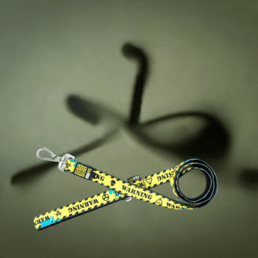 Max&Molly leash 