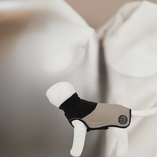 Peppy Buddies Hunde Termo jakke 
