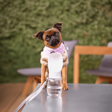 Luksuspoters "To Go" vand flaske, Sort, til hunde og hvalpe