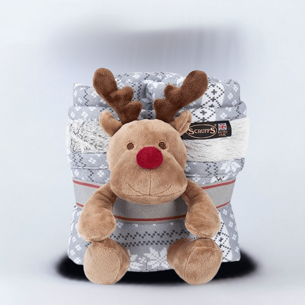 Scruffs blanket - Santa paws gift set