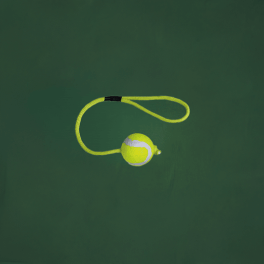 Kw Mini Tennis Ball With String 42Mm/30Cm 