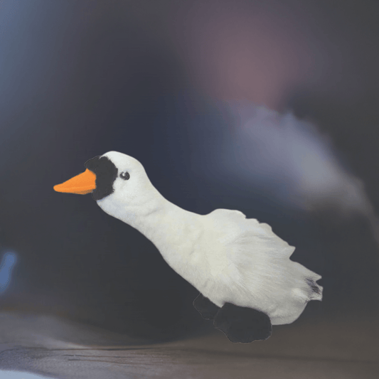 Kw Plush Migratory Bird Swan W/Sound 35 Cm