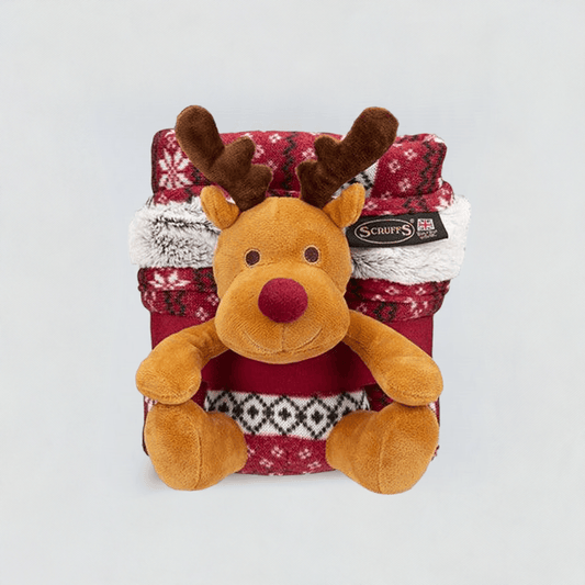 Scruffs Julegavesæt 🎅 Santa Paws – Tæppe & Bamse til Hund 🎁🐾
