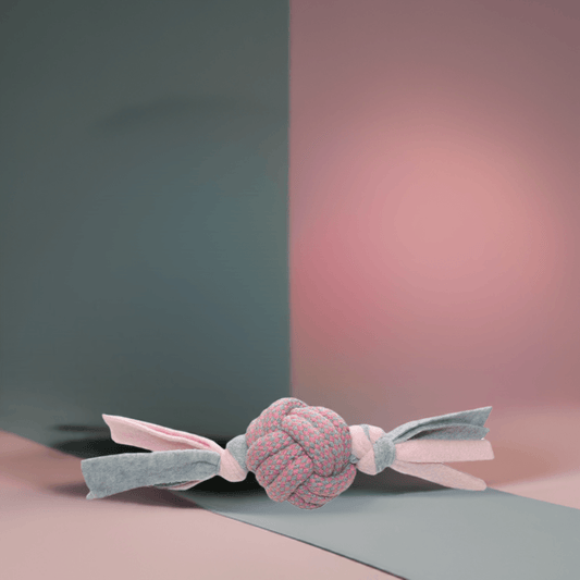 KW toy 
