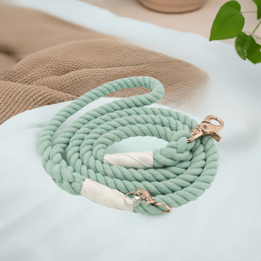 SassyWoof leash 
