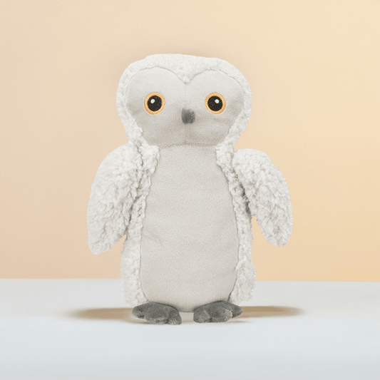 Trixie teddy bear 